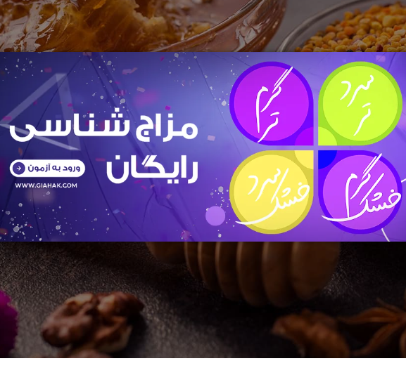 آزمون مزاج شناسی رایگان